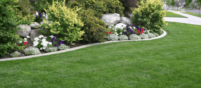 you are loved animation